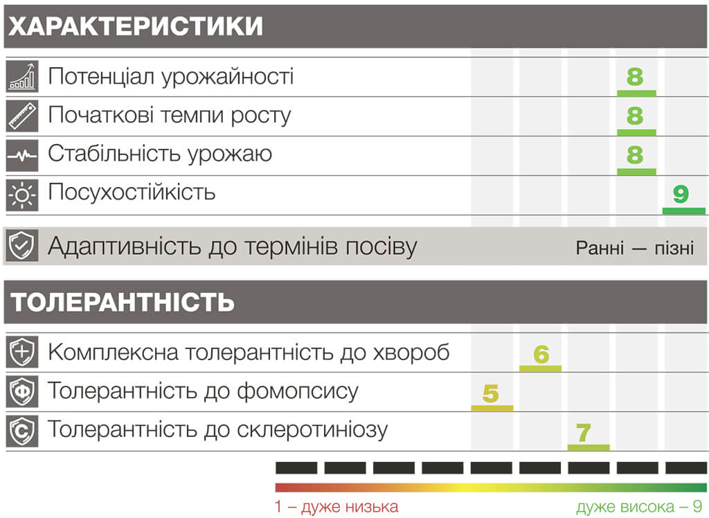 Купить семена подсолнуха Босфора